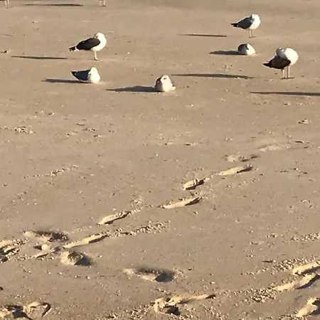 Citycentre Apartamento